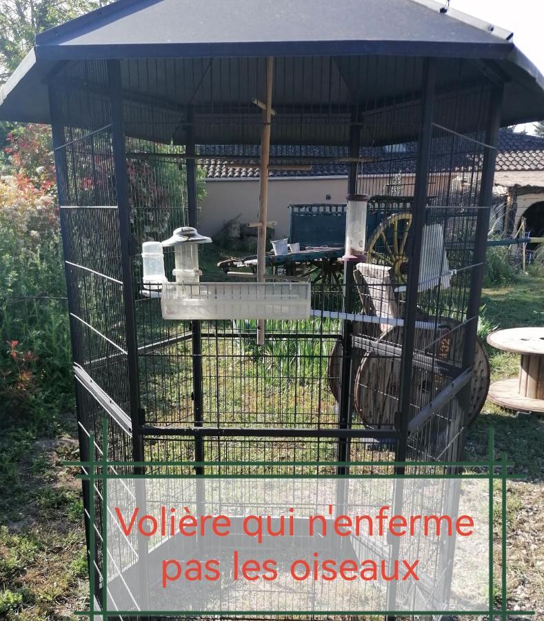 La Fee Viviane Et Michel L'Enchanteur Robion en Luberon Luaran gambar