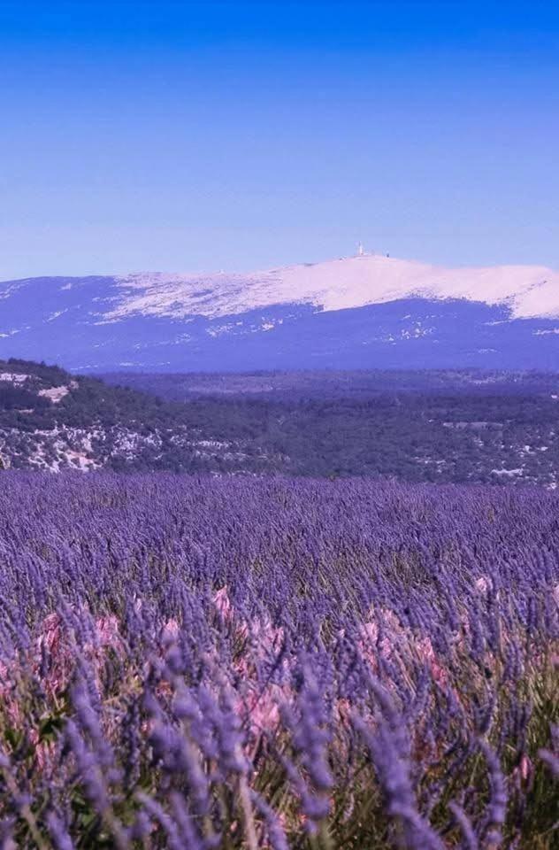 La Fee Viviane Et Michel L'Enchanteur Robion en Luberon Luaran gambar
